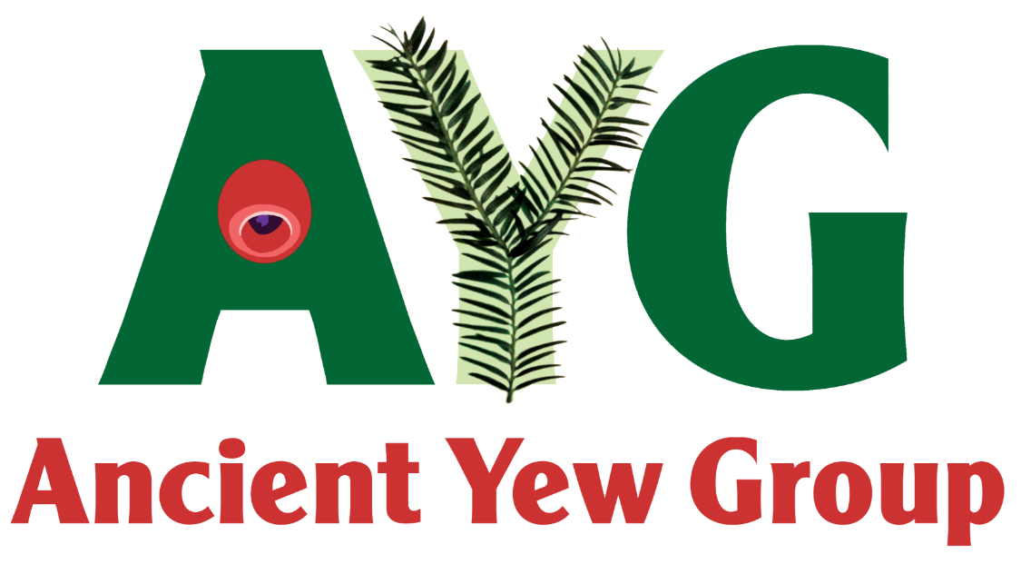 Ancient Yew Group