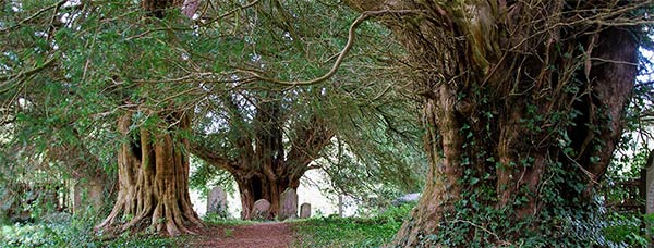 Llanfeugan, Breconshire