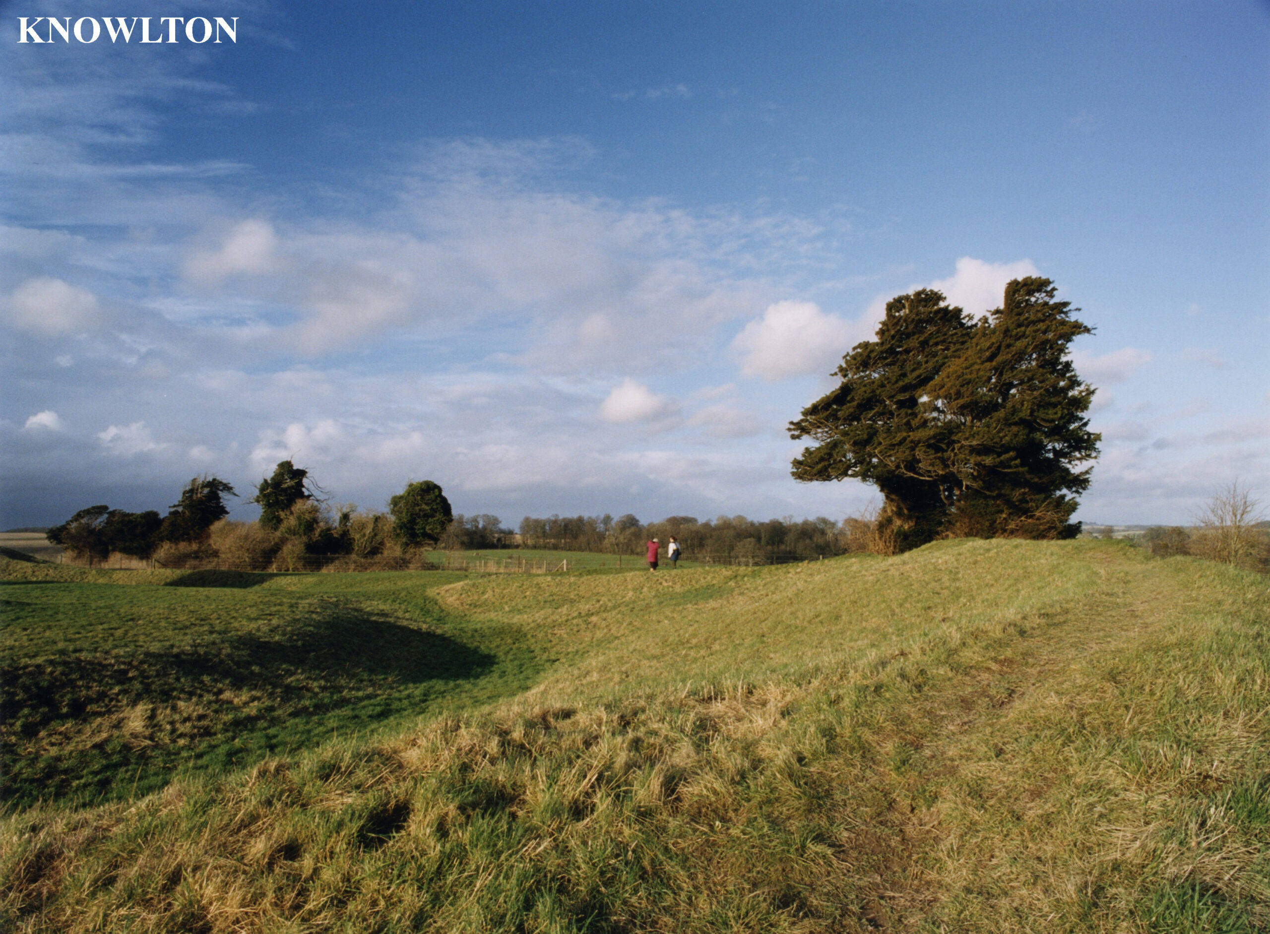Knowlton Tree Knowlton 1729 - Ancient Yew Group