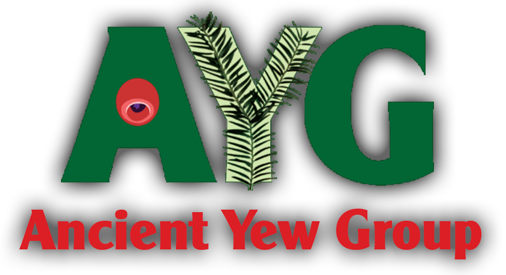 Ancient Yew Group Logo
